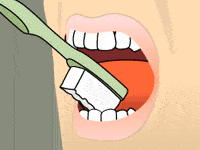 Brushing: Step 4